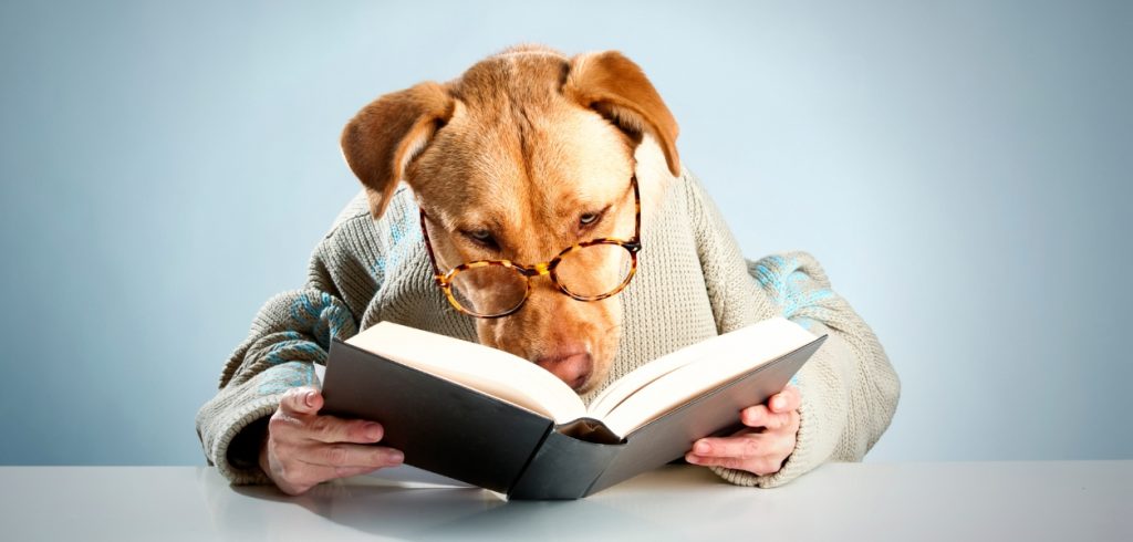 dog reading