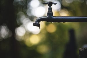 Drip Membership Content