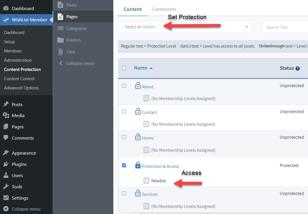 wordpress page visible to only users