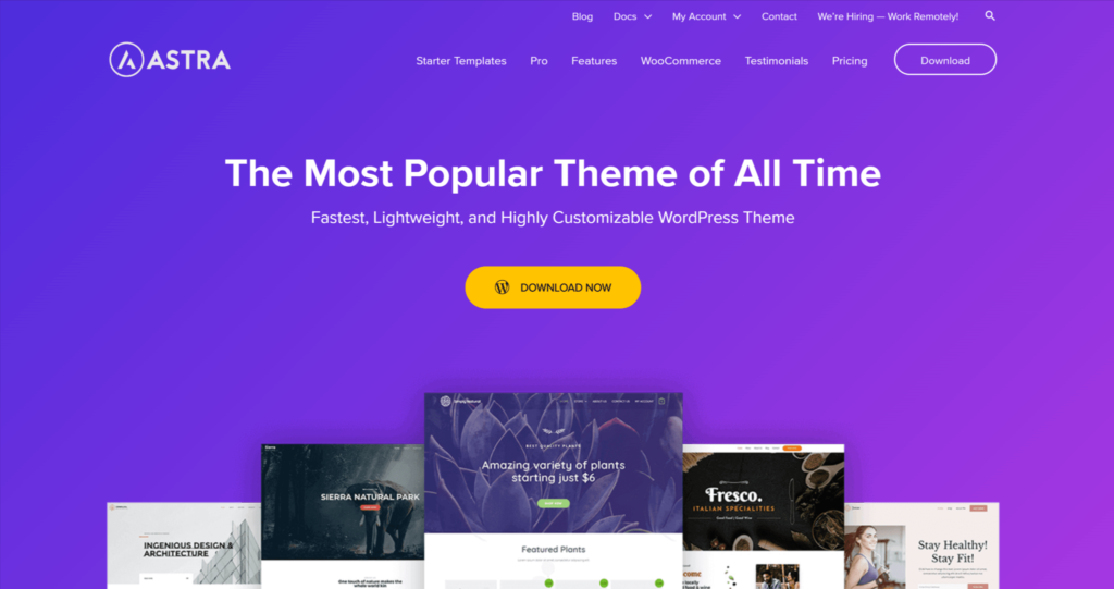 Astra WordPress theme homepage